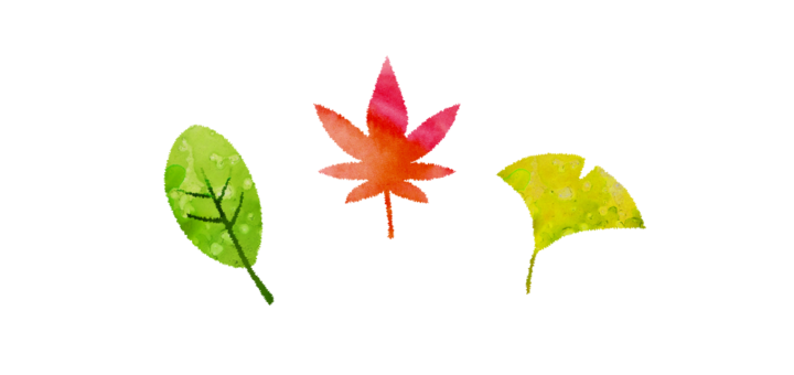 紅葉、銀杏、落葉樹のイラスト