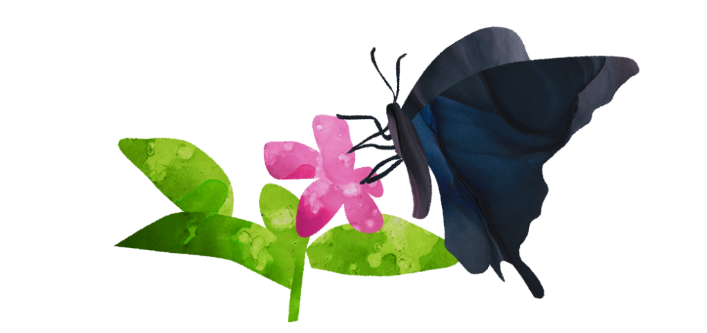花に止まる蝶々のイラスト