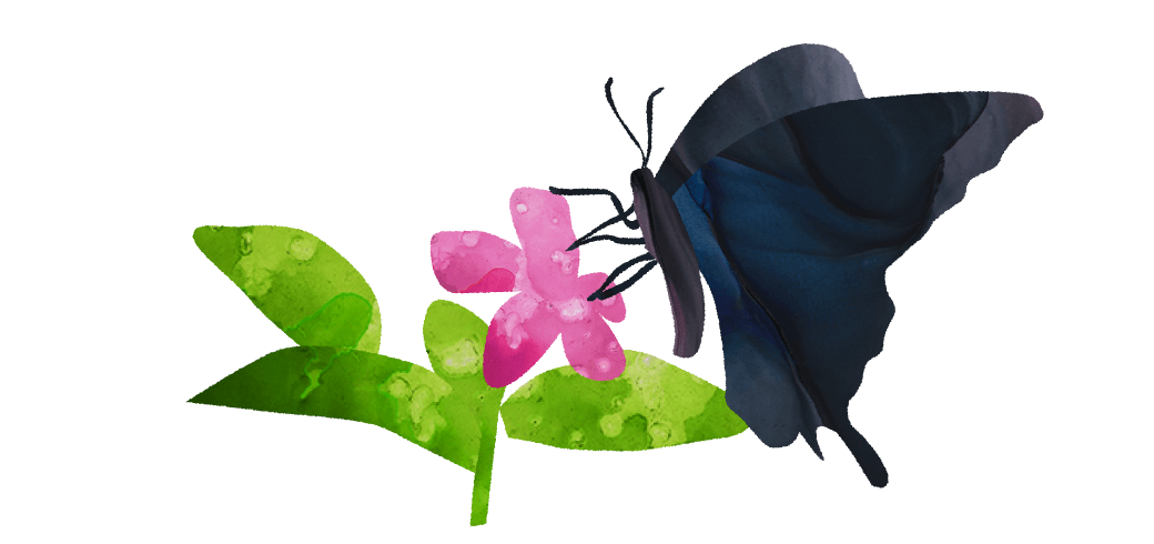 花に止まる蝶々のイラスト フリー素材集 イラストのっく