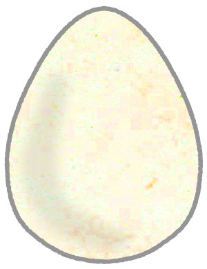 卵のイラスト素材