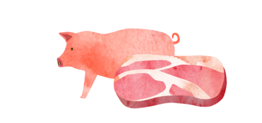 養豚とスライス肉のイラスト