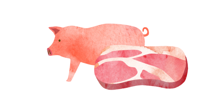 養豚とスライス肉のイラスト