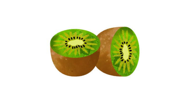 キウイのイラスト