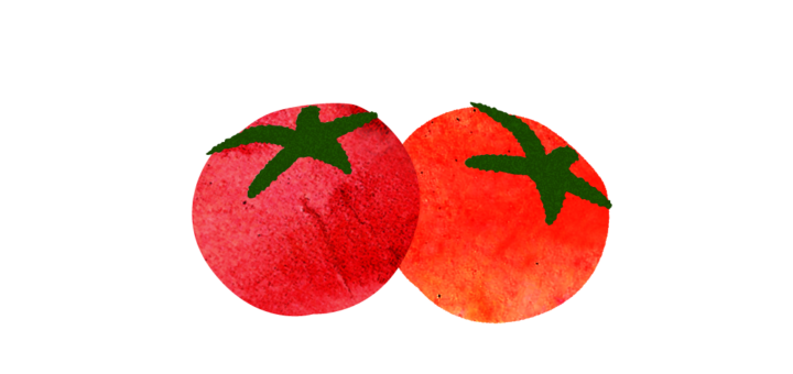 トマト2つのイラスト