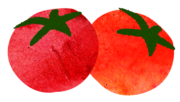 ふたつのトマトのイラスト
